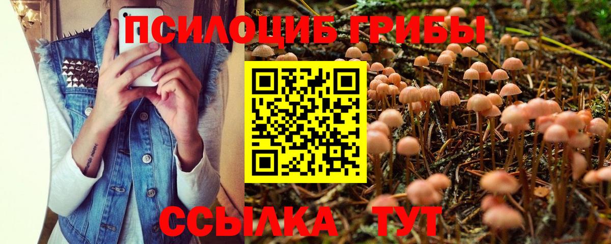Галлюциногенные грибы мухоморы Аша